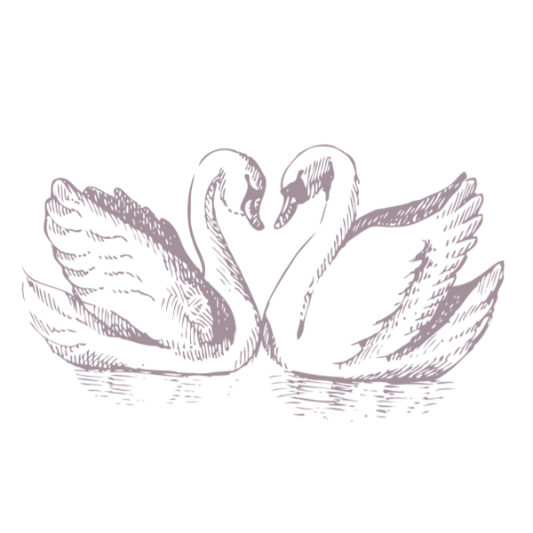 Silver Swan Floral